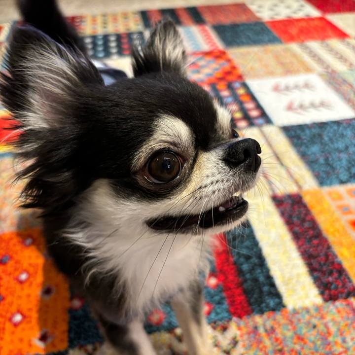 408767ab c1c8 4d21 8461 7d2edfadae8f 1725118791688