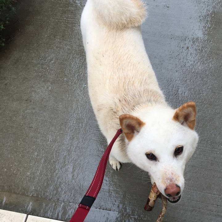 4087bf69 ee3a 478e b7ce 4e12617f6393 1521549172362