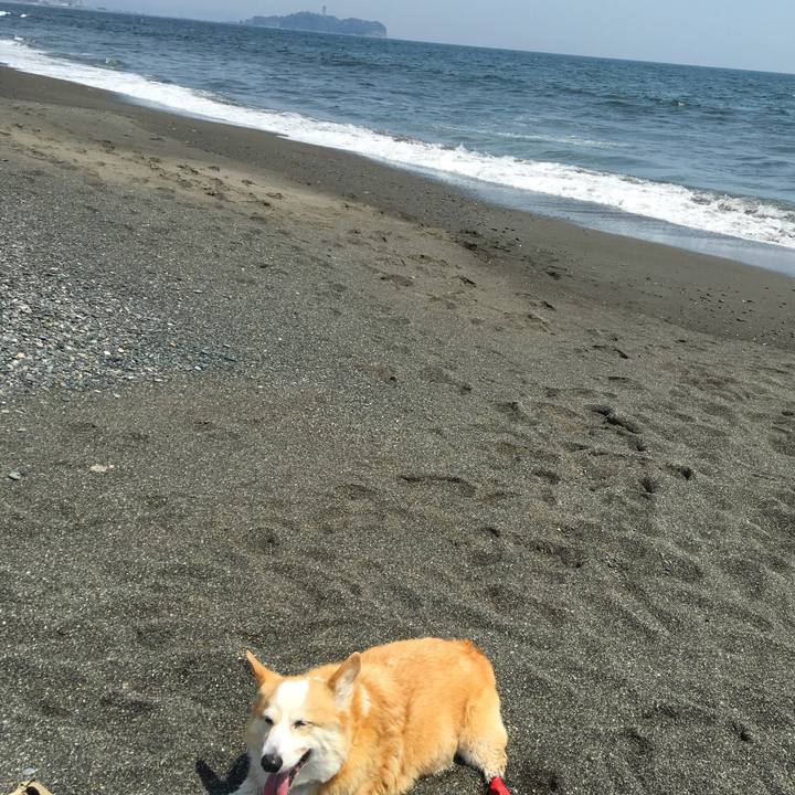 4087e215 fabf 4c1e 8540 c1390f3670ec 1557067863773