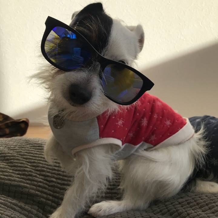 4088013d 994e 4c60 b0af b4c3da50f983 1513057379198