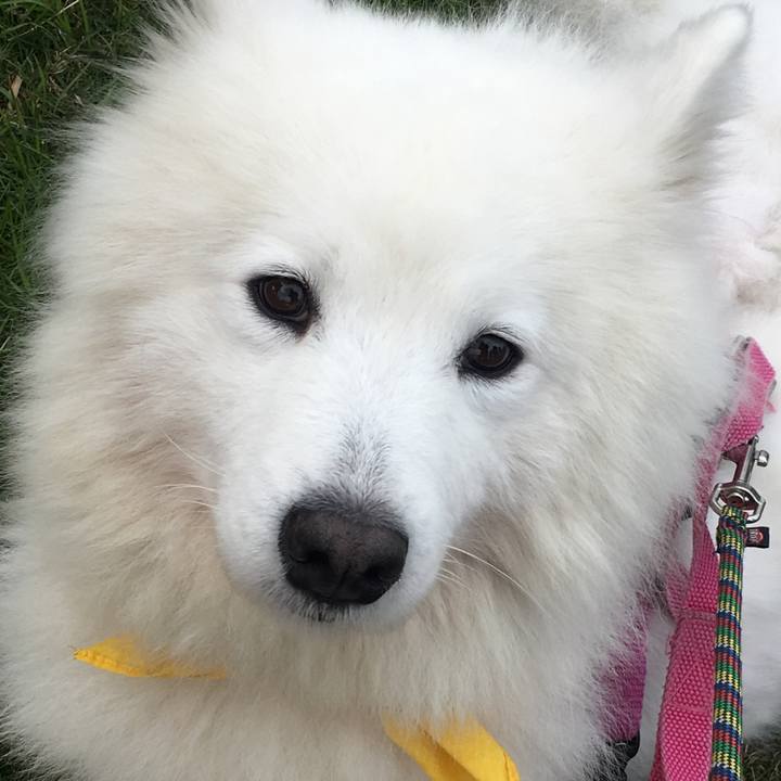 40883c7a 94e9 4eb6 b841 d54d92797b59 1542990773119