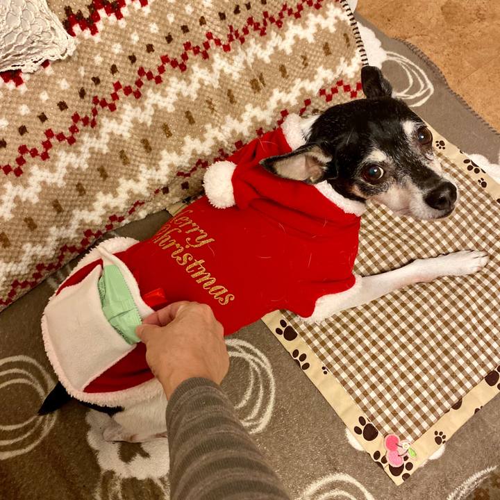 4088ad01 3ce1 4541 bdcb 4a26f0f1b31e 1577228820420