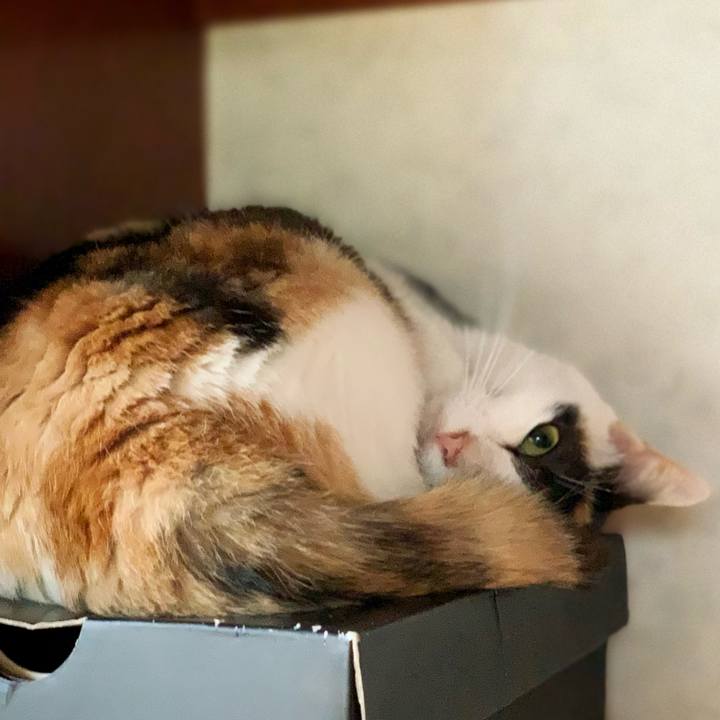 4088d5b8 a414 4fd8 a558 8d6758604cfb 1595209914850