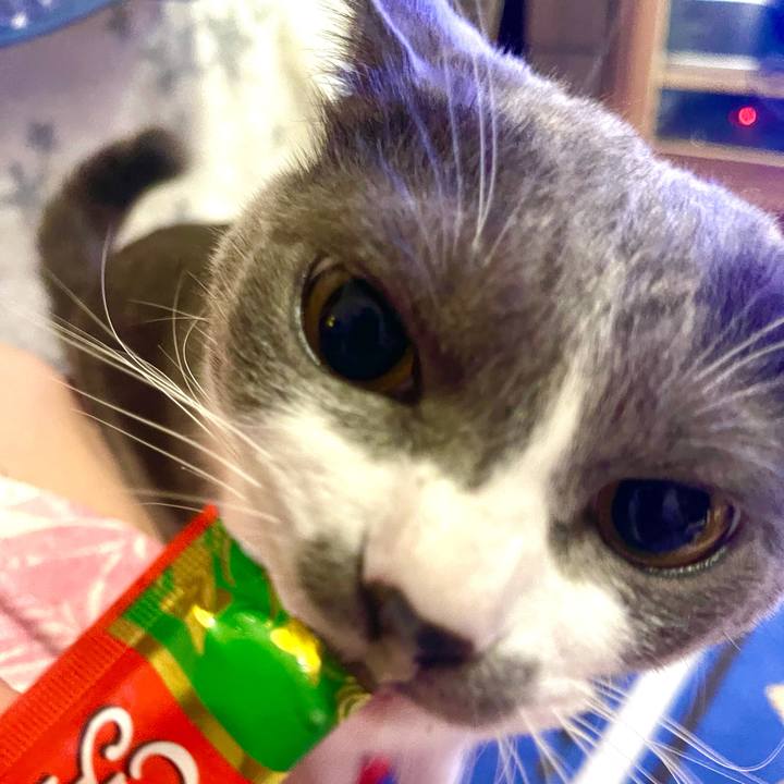 4088f40e a6b2 408b a887 5ce75e850614 1628677549142