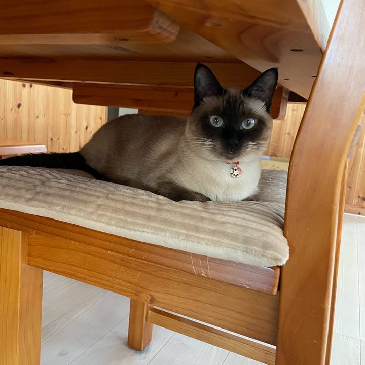 408937ac 3e25 4bf4 aea3 8250751d15d8 1726436491471