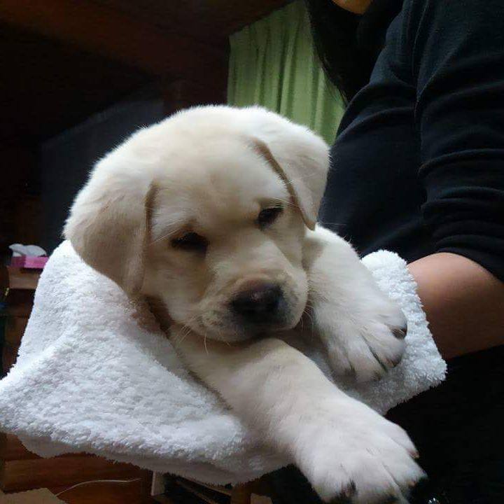 4089405f 36e2 45f1 a5fd 3e842268d91c 1523878441635