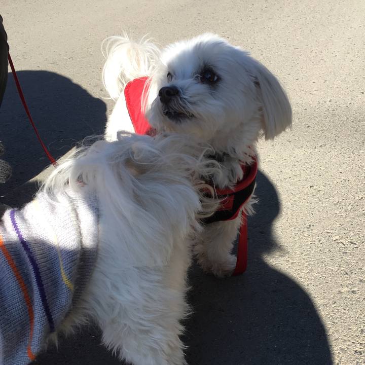 408947ea 3622 4d2a 86f7 483c8b9d3bb0 1546570651558