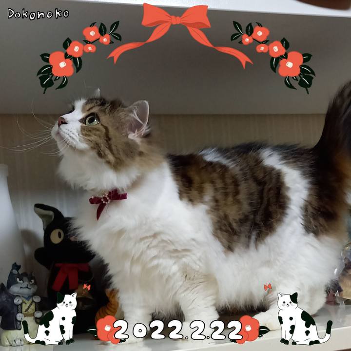 40897fa8 1574 49f8 aded 3e62e1b4acd0 1645532594514