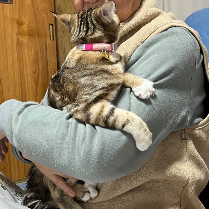 40899669 4773 4a5d ae78 47112e5ac5f9 1699934071209