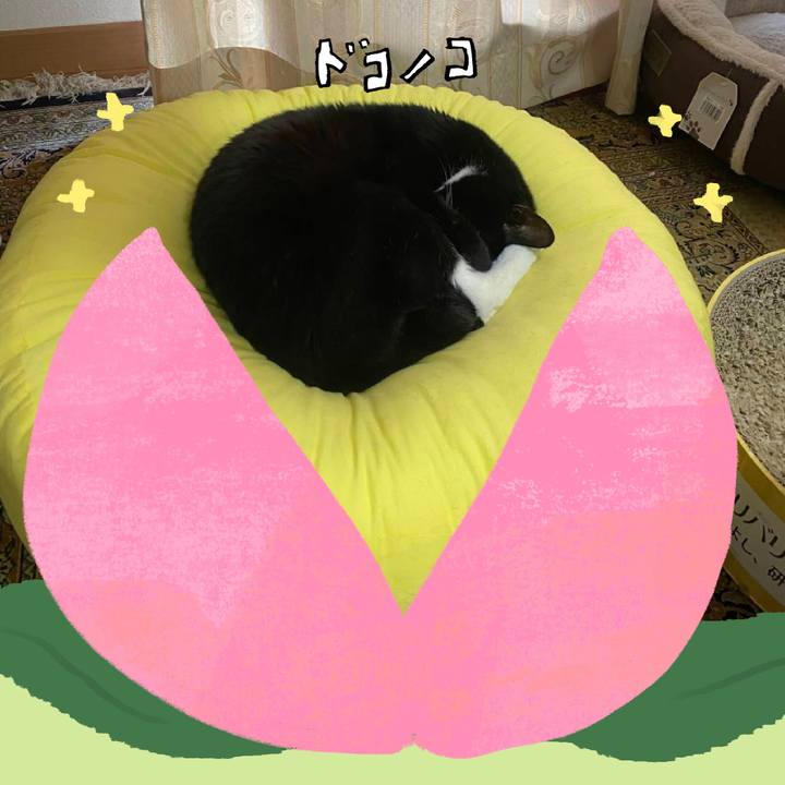 40899d35 13e8 4bdc 8892 b5291e81adf0 1771855483198