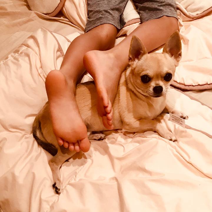 4089c916 a6da 47cd 9ca3 217e73c733fb 1530055972139