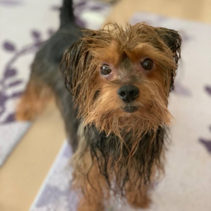 4089edfa 68cf 4ad5 985b 4d397e32cbdb 1541564691501