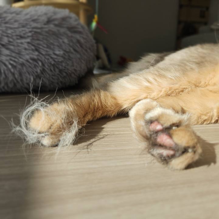 4089f301 cd74 4349 acd4 42257f77d32f 1772681123544