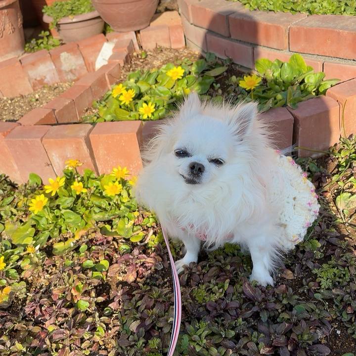 408a1f2a 8f88 4f06 a911 4fc279402cf2 1771197735101