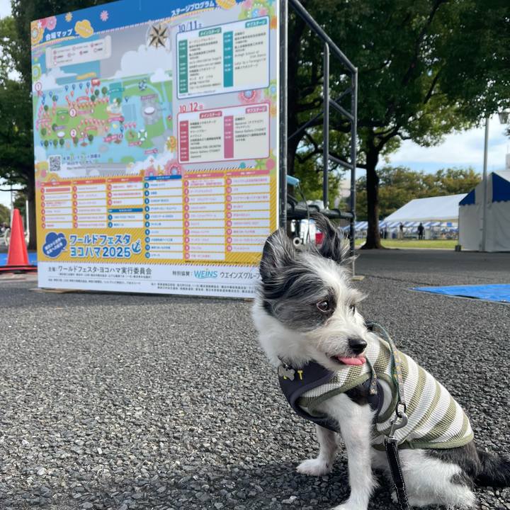 408a2205 a5aa 4b88 b136 bda2cdc75e00 1760103804685