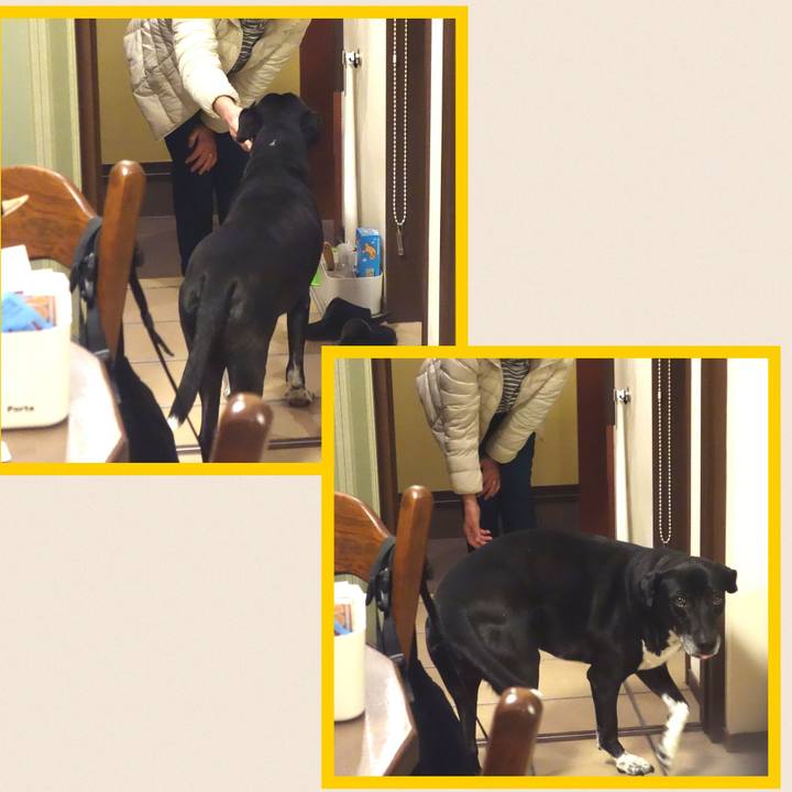 408a3d1a 70ef 4624 aa42 ae76969771f6 1703761564269