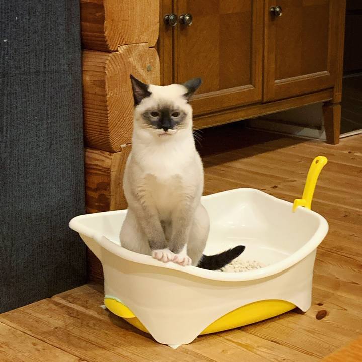 408a4cfd d72a 423d 9e1e 31450d94ed82 1668854466172