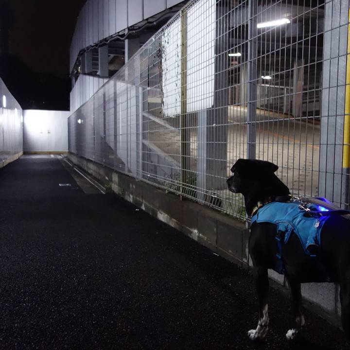 408a4d4c 83ac 485d 98fc f075e217bfd8 1696416146818