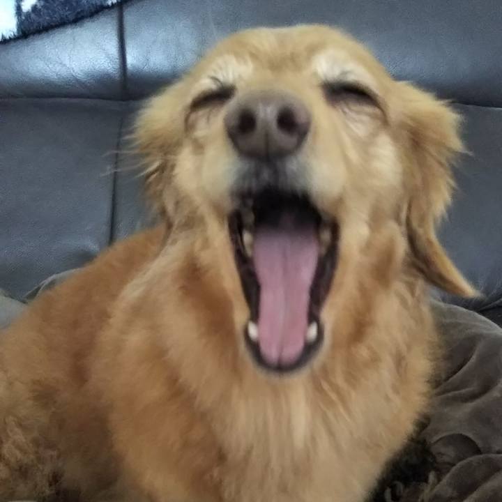 408a94fe eb42 4aa4 bda7 5dd017ab434d 1581390620451