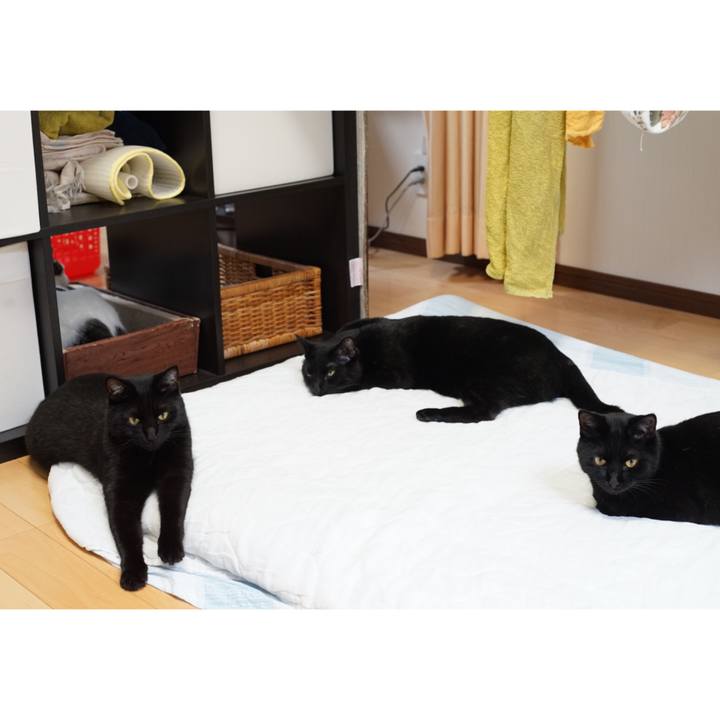 408ab117 9dba 49d3 bd21 3f7730cccb16 1529808614061