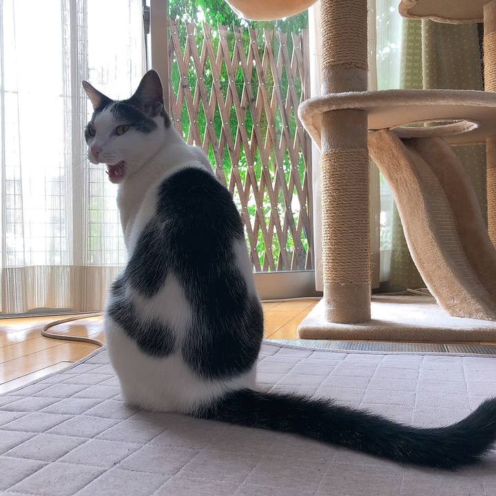 408af0ad 51f6 4aa6 872a e1ff55a9d7f1 1654489108317