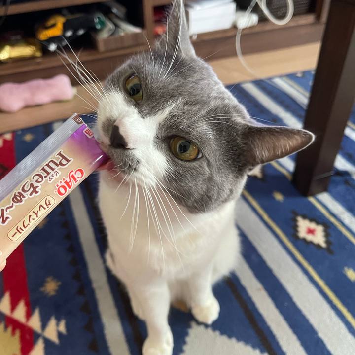 408b032f 9d2f 47ca 8b23 8cf38b0a2adf 1659510838764