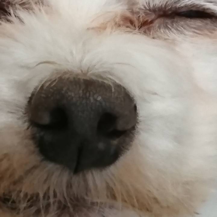 408b2eee f99c 48bd 9e04 cf17bdc318fd 1523757323539