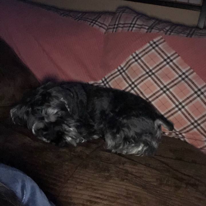 408b393e 77b0 4d6f 84cd d1bca6e5a6c7 1694204088963