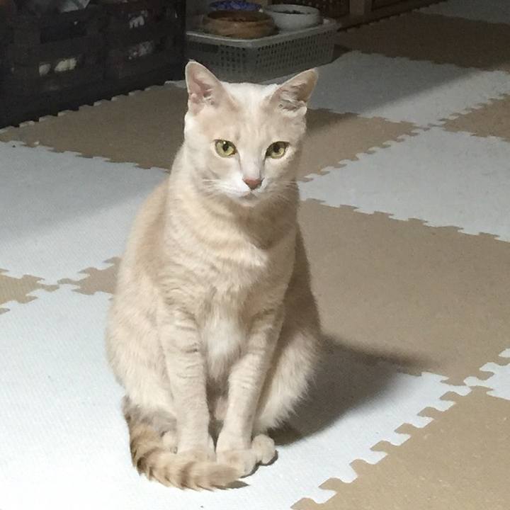 408b48ee 3ad5 4a6d b9a7 a1bdabd8b3ab 1517659156939