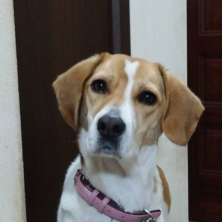 408b49a8 4210 4eb3 adf6 e10204730ad4 1581934151725