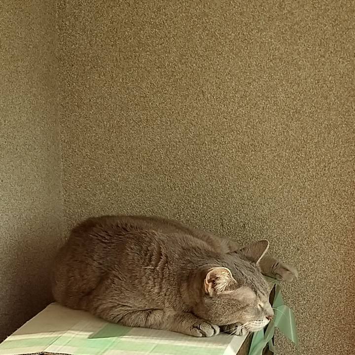 408b6744 0147 4f60 b671 59ae56a12342 1667434898672