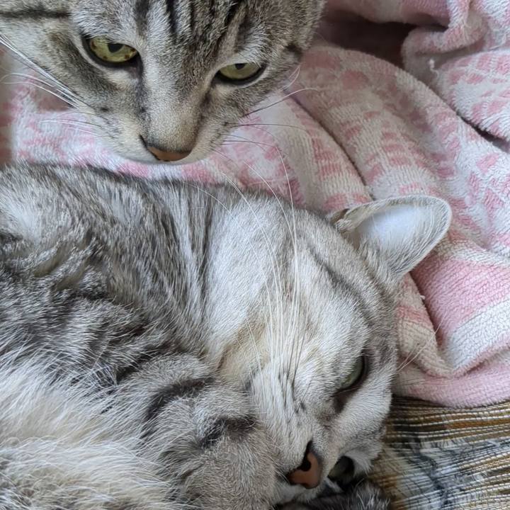 408b900d 791e 42ec 8b87 fa6139ec1a0f 1709707938555