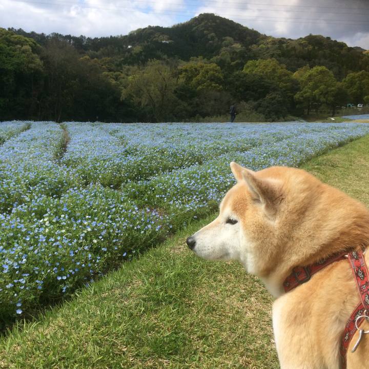 408b98fe e165 4b38 8000 306c76974a22 1554483352644