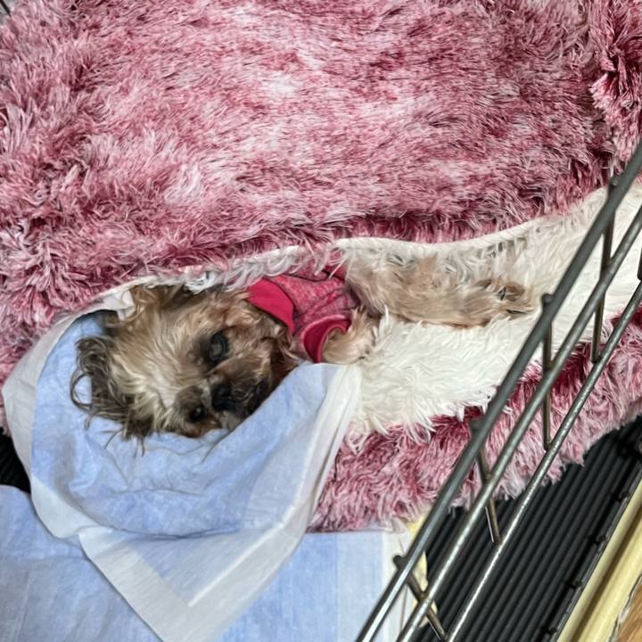 408ba0c9 4c11 4622 915e 4391bf8f3200 1762651385429