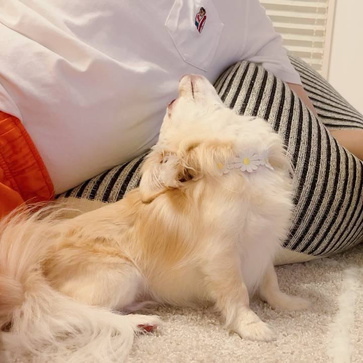 408be472 0d67 40b9 aea0 8235adc5fb0a 1714391694828