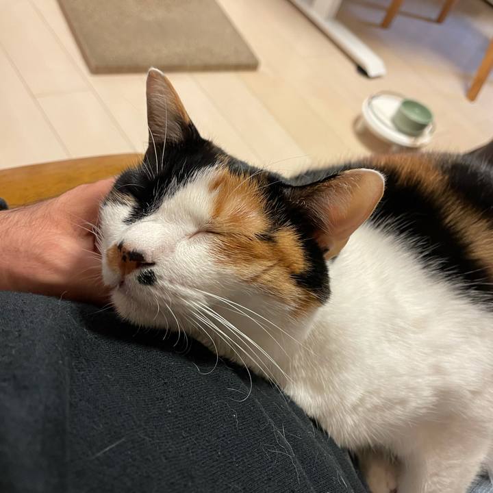 408bf133 eebd 4de5 9b26 01dfe08c58b1 1612133359400