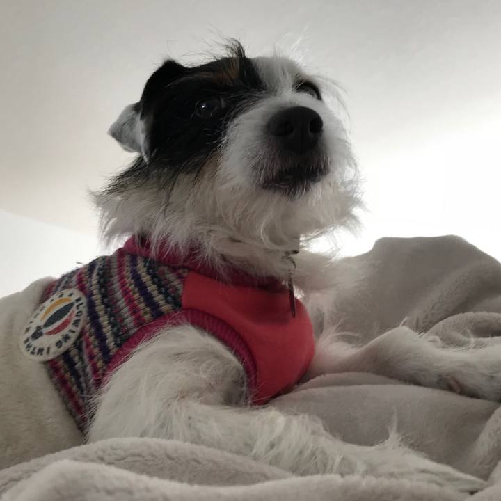 408c0788 61c6 40e3 8092 576e371d0d5c 1517274734610