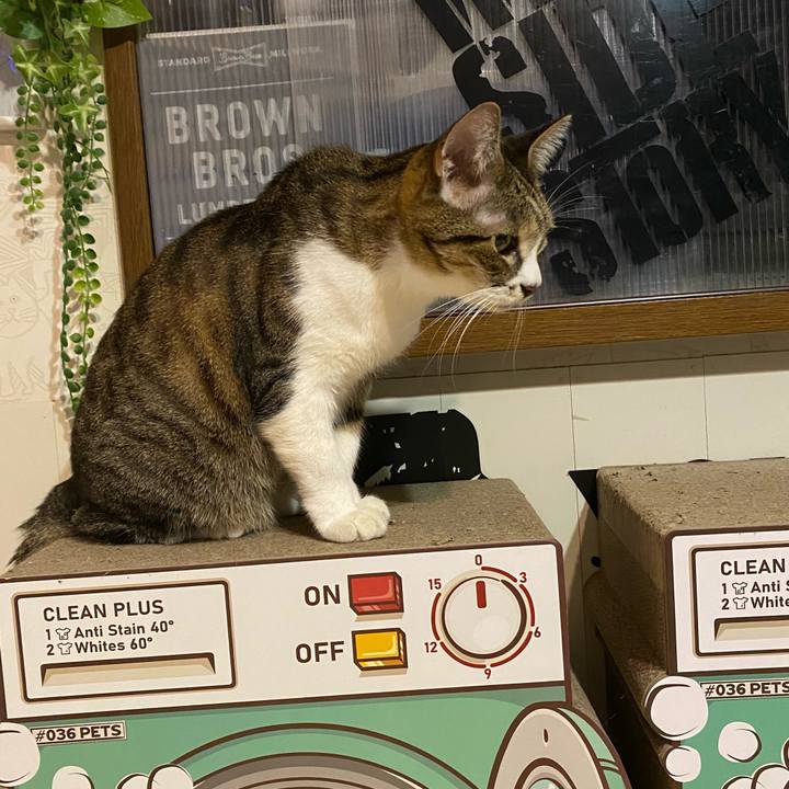 408c08d8 8b79 46a9 ada9 a4170fb714c3 1698247222753