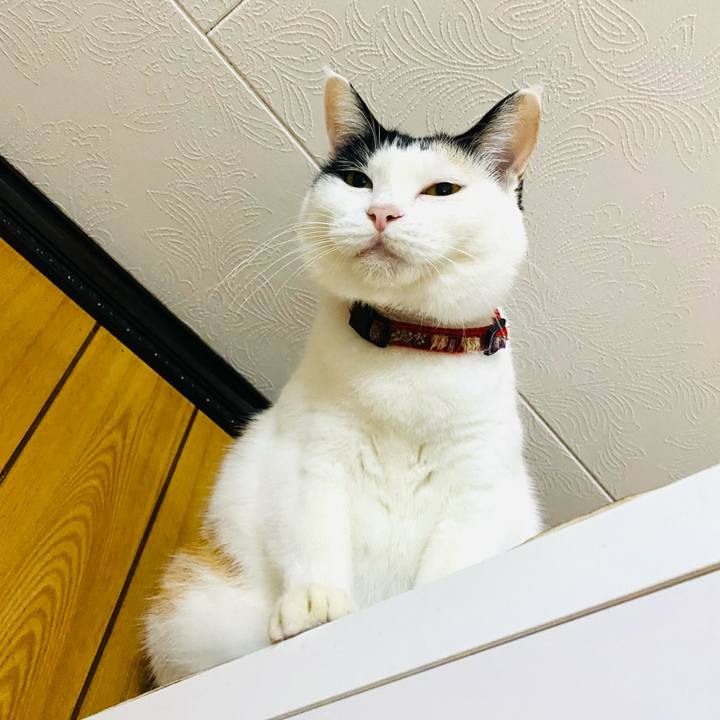 408c337a 7361 4a21 b0d1 5405fe5825da 1697545851599