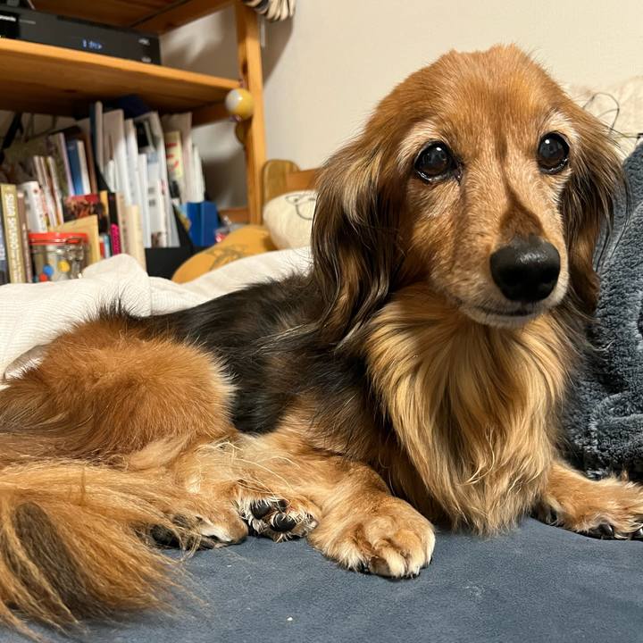 408cba6a 67c6 4584 b784 e45cf628e387 1771844629711