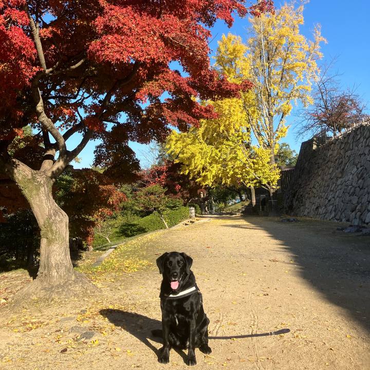 408cd653 ec0e 44f6 b427 fa44f63a1691 1733018151480