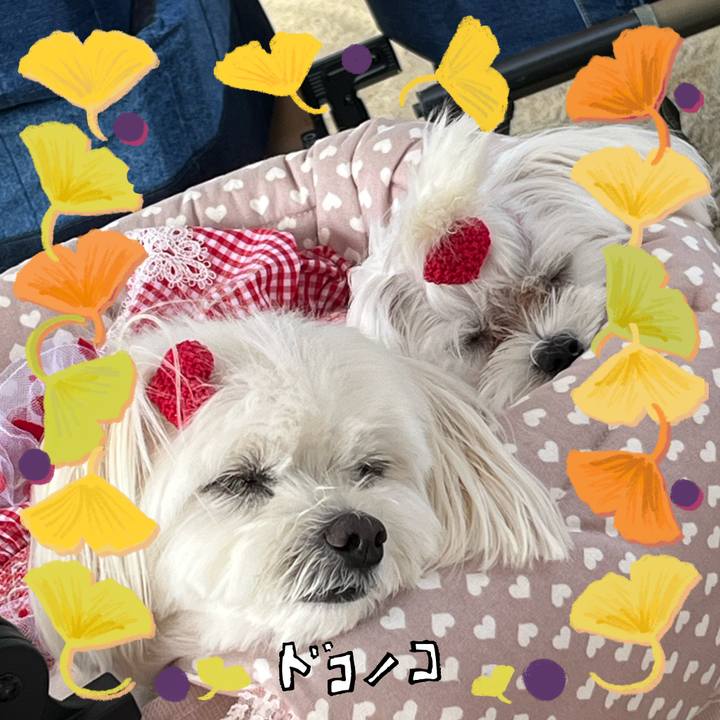 408d23f9 9b0c 4a6f 8337 0fbf47b96192 1729152494580