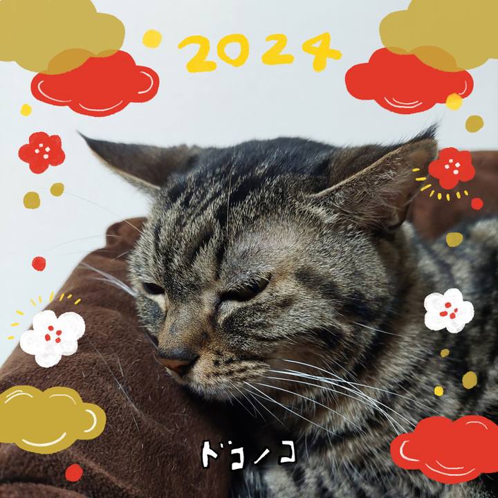 408d24e5 841f 44fe 9c59 d7f4d2f9d50a 1704327270507