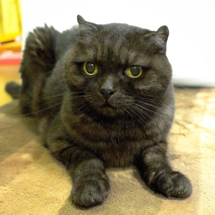 408d3fe3 2c2b 409c b55c d7e73a16a1c5 1631460090064