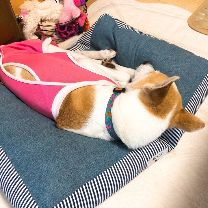 408d4fbf 3cb6 4e46 a9d6 3ab5bc33de58 1592310589035