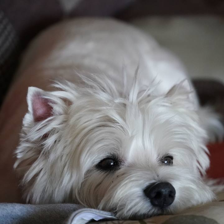 408d666c 6121 456e a075 62c9715d201c 1538560834631