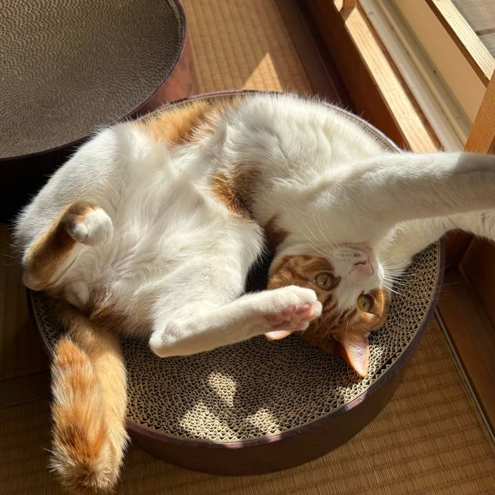 408d6c21 9b56 4cac 95b7 385a2c42a3bf 1771984260655