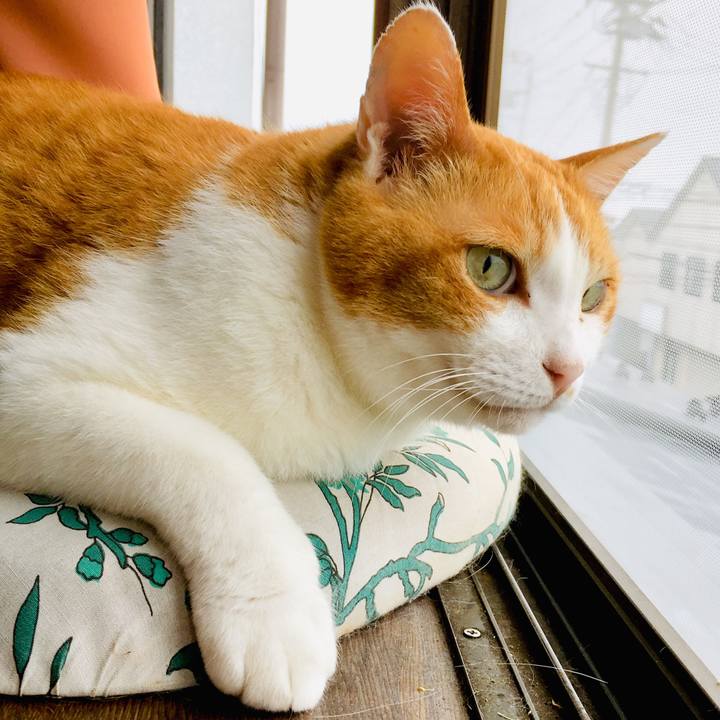 408d7e7d 1a71 4e3e 98ab 13f78117cd4e 1561690425428