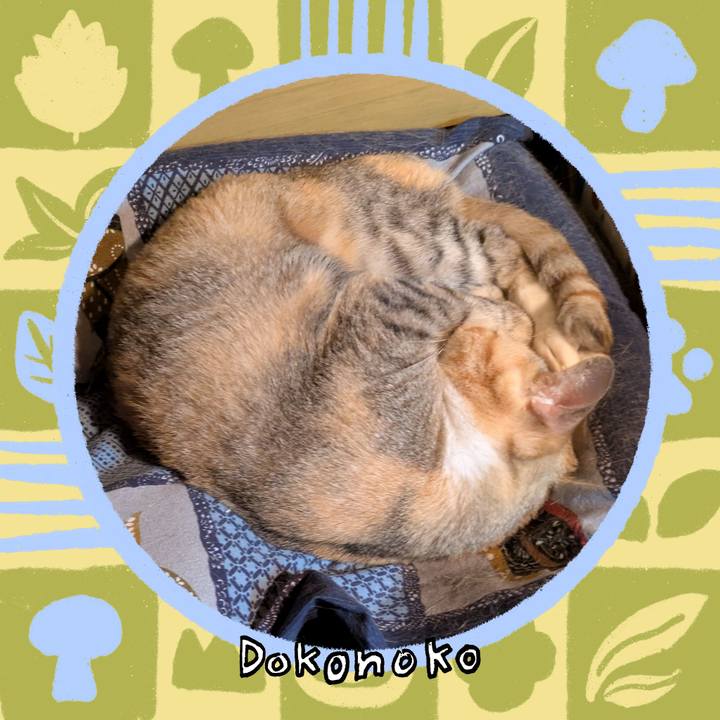 408d8674 9e12 444a bced 5cdfe8433e2a 1761412313842