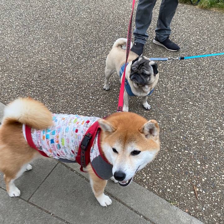 408dbe36 1590 4640 aa66 04de62139d81 1622085351344